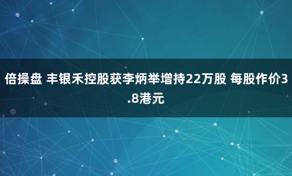倍操盘 丰银禾控股获李炳举增持22万股 每股作价3.8港元