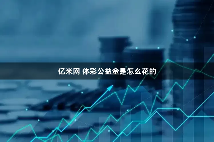 亿米网 体彩公益金是怎么花的