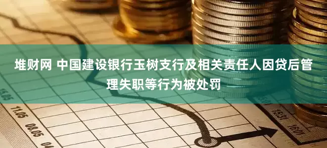 堆财网 中国建设银行玉树支行及相关责任人因贷后管理失职等行为被处罚