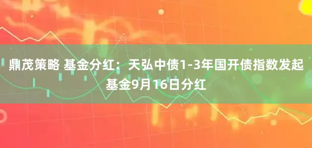 鼎茂策略 基金分红：天弘中债1-3年国开债指数发起基金9月16日分红