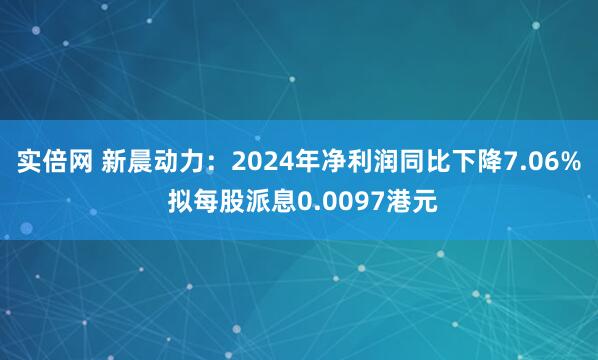 实倍网 新晨动力：2024年净利润同比下降7.06% 拟每股派息0.0097港元