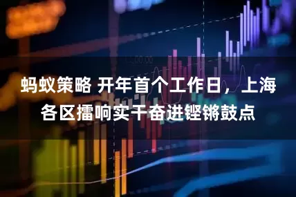 蚂蚁策略 开年首个工作日，上海各区擂响实干奋进铿锵鼓点