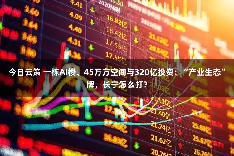 今日云策 一栋AI楼、45万方空间与320亿投资：“产业生态”牌，长宁怎么打？