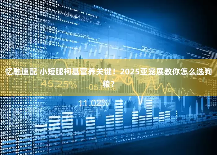 忆融速配 小短腿柯基营养关键！2025亚宠展教你怎么选狗粮？