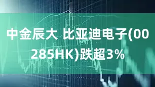 中金辰大 比亚迪电子(00285HK)跌超3%