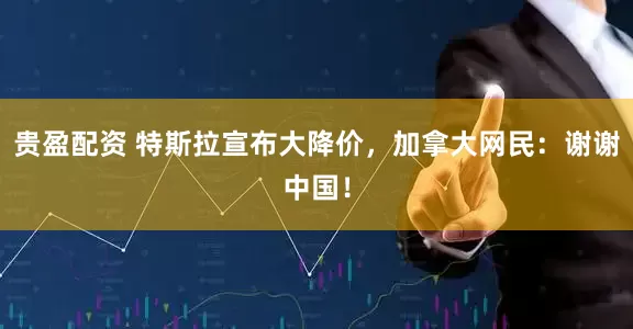 贵盈配资 特斯拉宣布大降价,加拿大网民:谢谢中国!
