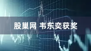 股巢网 韦东奕获奖